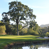 Silverado North Course, Silverado Resort and Spa, golf in Northern golf in California, California, Golf, Golf Destination review, Golf holidays in Northern California, golf tours in Northern California, Golf holidays in California, golf tours in California, Golf holidays, golf tours